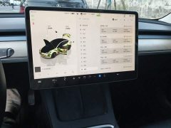 Tesla Model 3 Rear-Wheel Drive - ფოტო 14