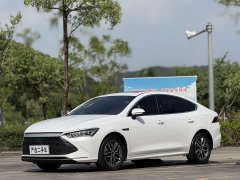 BYD Qin PLUS Champion Edition DM-i 55KM Exceed - ფოტო 1