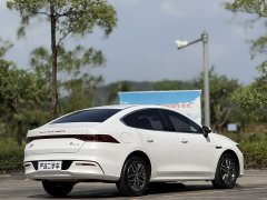 BYD Qin PLUS Champion Edition DM-i 55KM Exceed - ფოტო 9