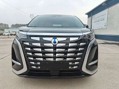 Denza BYD Denza D9 2022 DM-i 1040 Premium - ფოტო 2