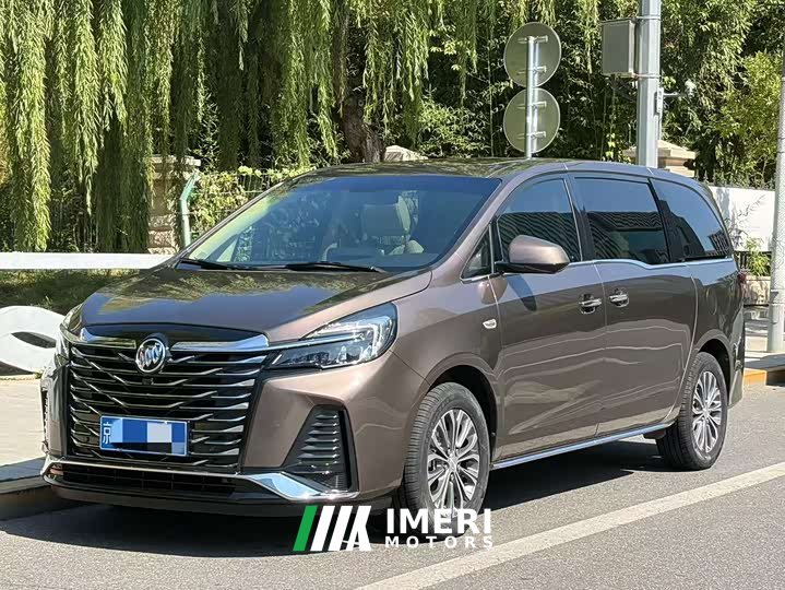 Buick GL8 Land Executive Cabin 652T Luxury - ავტომობილი ჩინეთიდან