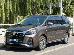 Buick GL8 Land Executive Cabin 652T Luxury - ფოტო 1