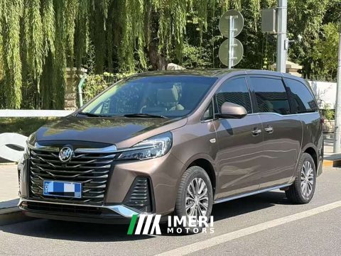 2023 Buick GL8 Land Executive Cabin 652T Luxury - ავტომობილი ჩინეთიდან