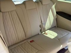 Buick GL8 Land Executive Cabin 652T Luxury - ფოტო 12