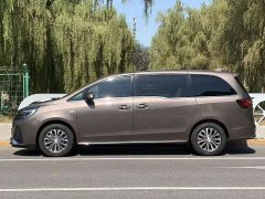 Buick GL8 Land Executive Cabin 652T Luxury - ფოტო 15