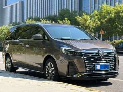 Buick GL8 Land Executive Cabin 652T Luxury - ფოტო 3