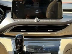 Buick GL8 Land Executive Cabin 652T Luxury - ფოტო 7