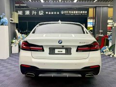 BMW 5 Series 530Li Premier M Sport Package - ფოტო 13