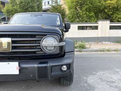 Tank 300 2.0T Challenger - ფოტო 19