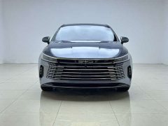 BYD Destroyer 05 2024 Glory Edition DM-i 55KM Luxury - ფოტო 2