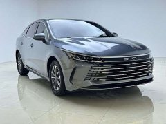 BYD Destroyer 05 2024 Glory Edition DM-i 55KM Luxury - ფოტო 3