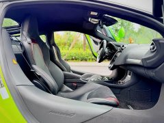 McLaren GT 4.0T Standard - ფოტო 15