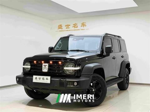 2024 Tank 300 2.0T Conqueror - ავტომობილი ჩინეთიდან