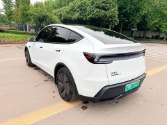 Tesla Model Y Rear-Wheel Drive - ფოტო 8