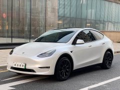 Tesla Model Y Standard Range RWD - ფოტო 1