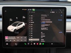 Tesla Model Y Standard Range RWD - ფოტო 9