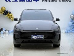 Tesla Model Y Long Range All-Wheel Drive - ფოტო 2
