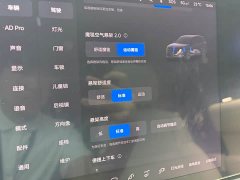 Li Auto L8 Pro - ფოტო 14