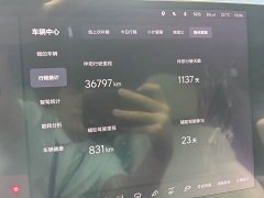 Li Auto L8 Pro - ფოტო 19