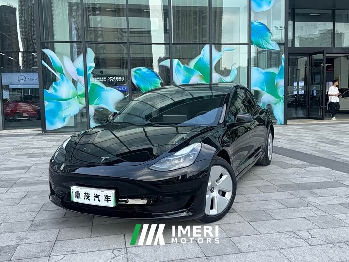Tesla Model 3 Standard Range RWD Upgrade - ავტომობილი ჩინეთიდან