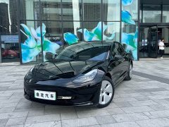 Tesla Model 3 Standard Range RWD Upgrade - ფოტო 1
