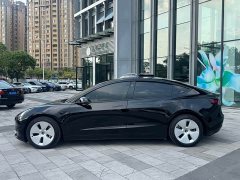 Tesla Model 3 Standard Range RWD Upgrade - ფოტო 3