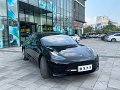 Tesla Model 3 Standard Range RWD Upgrade - ფოტო 6