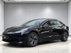 Tesla Model 3 Standard Range RWD Upgrade - ფოტო 1