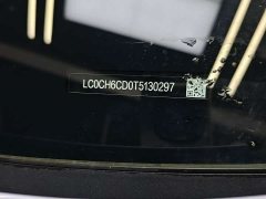 BYD Dolphin 07 EV 705 Flagship - ფოტო 18