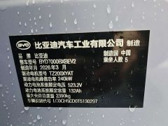 BYD Dolphin 07 EV 705 Flagship - ფოტო 7