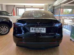 Tesla Model Y Rear-Wheel Drive - ფოტო 13