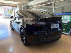 Tesla Model Y Rear-Wheel Drive - ფოტო 14