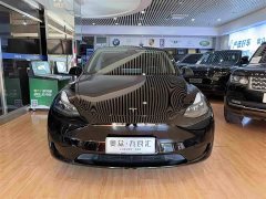 Tesla Model Y Rear-Wheel Drive - ფოტო 2