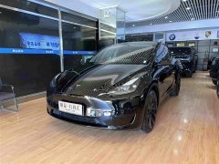 Tesla Model Y Rear-Wheel Drive - ფოტო 3
