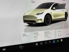 Tesla Model Y Rear-Wheel Drive - ფოტო 5