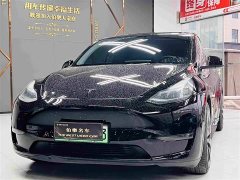 Tesla Model Y Performance All-Wheel Drive - ფოტო 1