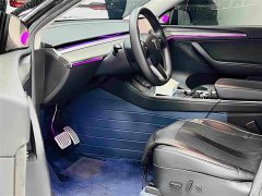 Tesla Model Y Performance All-Wheel Drive - ფოტო 10