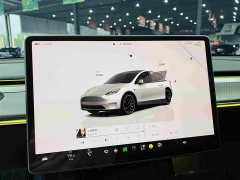 Tesla Model Y Performance All-Wheel Drive - ფოტო 14