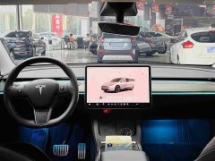 Tesla Model Y Performance All-Wheel Drive - ფოტო 16