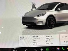 Tesla Model Y Performance All-Wheel Drive - ფოტო 3