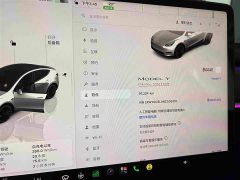 Tesla Model Y Performance All-Wheel Drive - ფოტო 4