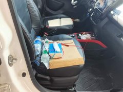Dongfeng Nanotech EX1 PRO Deluxe Edition - ფოტო 7