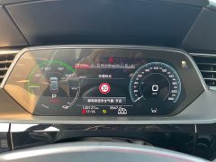 Audi e-tron 50 quattro Prestige - ფოტო 13