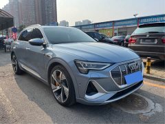 Audi e-tron 50 quattro Prestige - ფოტო 3