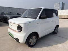 Geely Panda Mini 200km Endurance Edition - ფოტო 1