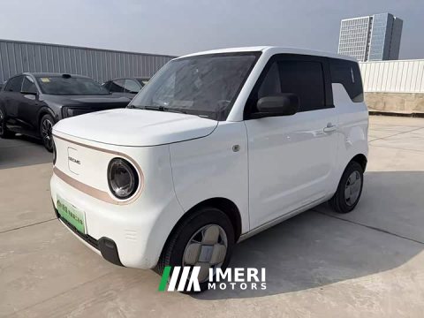 2023 Geely Panda Mini 200km Endurance Edition - ავტომობილი ჩინეთიდან