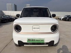 Geely Panda Mini 200km Endurance Edition - ფოტო 2