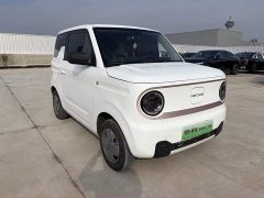 Geely Panda Mini 200km Endurance Edition - ფოტო 3