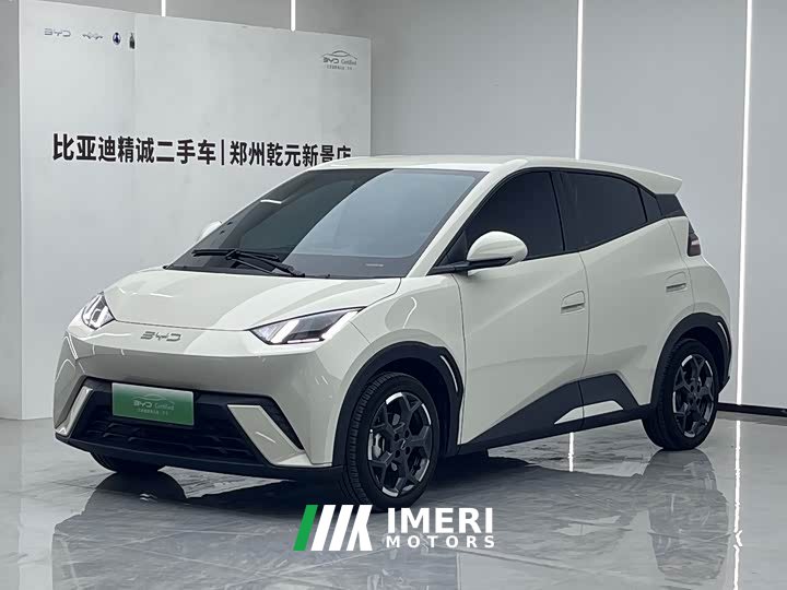 BYD Seagull 305km Freedom Edition - ავტომობილი ჩინეთიდან