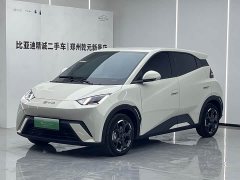 BYD Seagull 305km Freedom Edition - ფოტო 1